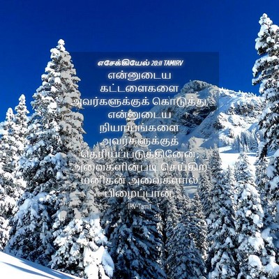 Picture 04 - எசேக்கியேல் 20:11 TAMIRV - என்னுடைய - Bible Verse Picture