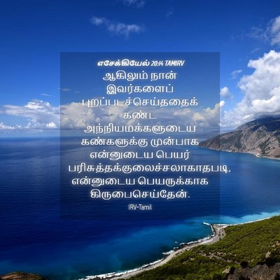 Picture 04 - எசேக்கியேல் 20:14 TAMIRV - ஆகிலும் நான் - Bible Verse Picture