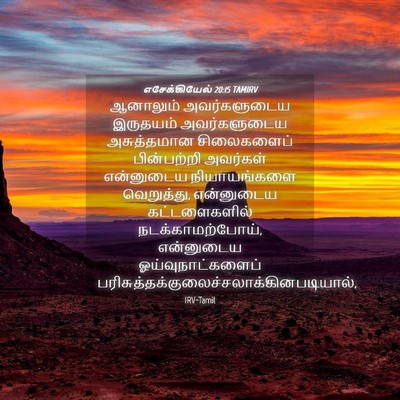 Picture 04 - எசேக்கியேல் 20:15 TAMIRV - ஆனாலும் - Bible Verse Picture