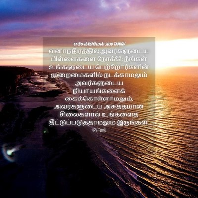 Picture 04 - எசேக்கியேல் 20:18 TAMIRV - வனாந்திரத்தில் - Bible Verse Picture