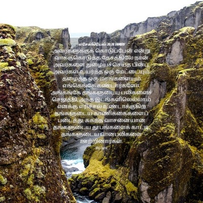 Picture 04 - எசேக்கியேல் 20:28 TAMIRV - அவர்களுக்குக் - Bible Verse Picture
