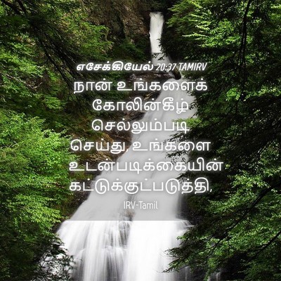 Picture 04 - எசேக்கியேல் 20:37 TAMIRV - நான் உங்களைக் - Bible Verse Picture