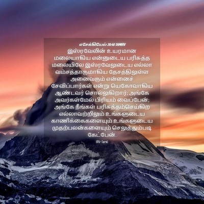 Picture 04 - எசேக்கியேல் 20:40 TAMIRV - இஸ்ரவேலின் உயரமான - Bible Verse Picture