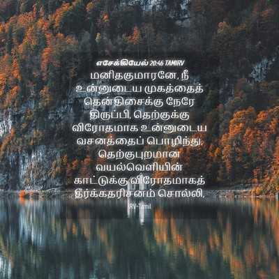 Picture 04 - எசேக்கியேல் 20:46 TAMIRV - மனிதகுமாரனே, நீ - Bible Verse Picture