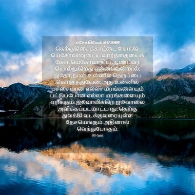 Picture 04 - எசேக்கியேல் 20:47 TAMIRV -  - Bible Verse Picture