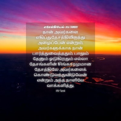 Picture 04 - எசேக்கியேல் 20:6 TAMIRV - நான் அவர்களை - Bible Verse Picture