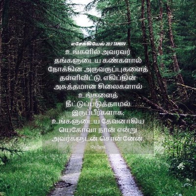 Picture 04 - எசேக்கியேல் 20:7 TAMIRV - உங்களில் அவரவர் - Bible Verse Picture