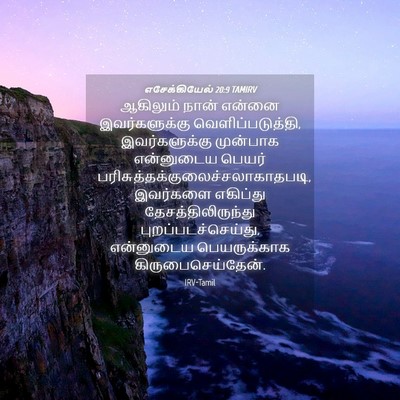 Picture 04 - எசேக்கியேல் 20:9 TAMIRV - ஆகிலும் நான் - Bible Verse Picture