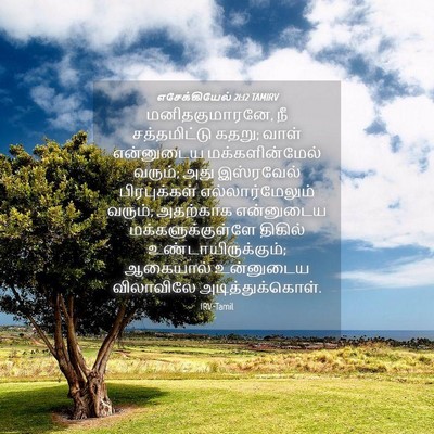 Picture 04 - எசேக்கியேல் 21:12 TAMIRV - மனிதகுமாரனே, நீ - Bible Verse Picture