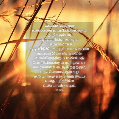 Picture 04 - எசேக்கியேல் 21:22 TAMIRV - தலைவரை - Bible Verse Picture
