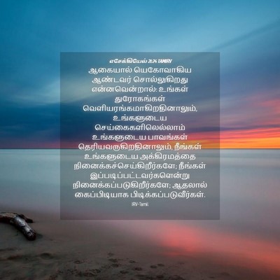 Picture 04 - எசேக்கியேல் 21:24 TAMIRV - ஆகையால் யெகோவாகிய - Bible Verse Picture