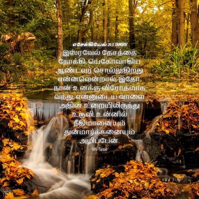 Picture 04 - எசேக்கியேல் 21:3 TAMIRV - இஸ்ரவேல் தேசத்தை - Bible Verse Picture