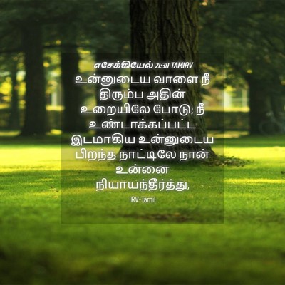 Picture 04 - எசேக்கியேல் 21:30 TAMIRV - உன்னுடைய வாளை நீ - Bible Verse Picture