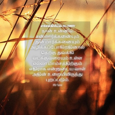 Picture 04 - எசேக்கியேல் 21:4 TAMIRV - நான் உன்னில் - Bible Verse Picture