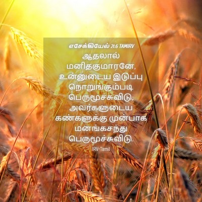 Picture 04 - எசேக்கியேல் 21:6 TAMIRV - ஆதலால் - Bible Verse Picture