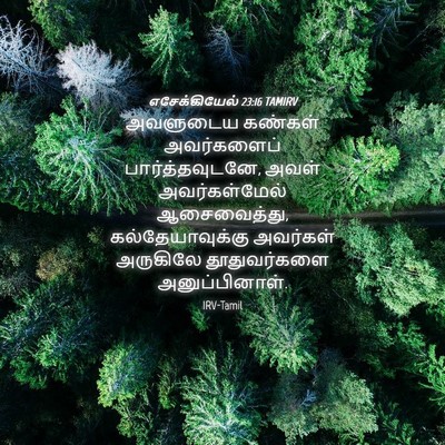 Picture 04 - எசேக்கியேல் 23:16 TAMIRV - அவளுடைய கண்கள் - Bible Verse Picture