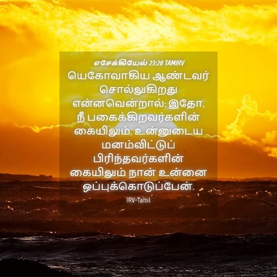 Picture 04 - எசேக்கியேல் 23:28 TAMIRV - யெகோவாகிய ஆண்டவர் - Bible Verse Picture