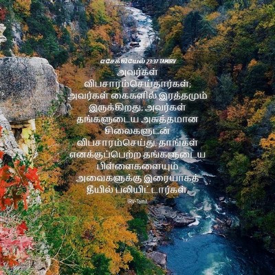 Picture 04 - எசேக்கியேல் 23:37 TAMIRV - அவர்கள் - Bible Verse Picture