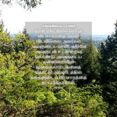 Picture 04 - எசேக்கியேல் 23:8 TAMIRV - தான் எகிப்திலே - Bible Verse Picture