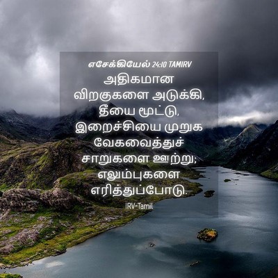 Picture 04 - எசேக்கியேல் 24:10 TAMIRV - அதிகமான விறகுகளை - Bible Verse Picture