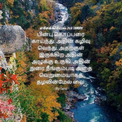 Picture 04 - எசேக்கியேல் 24:11 TAMIRV - பின்பு கொப்பரை - Bible Verse Picture