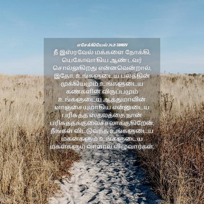 Picture 04 - எசேக்கியேல் 24:21 TAMIRV - நீ இஸ்ரவேல் - Bible Verse Picture