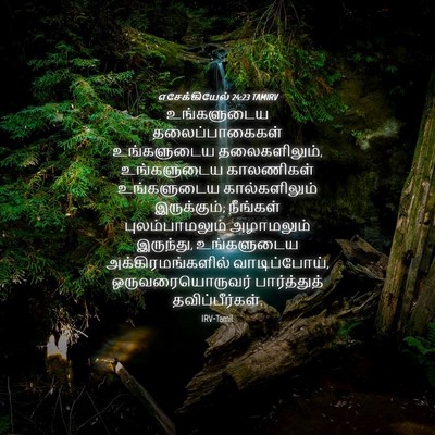 Picture 04 - எசேக்கியேல் 24:23 TAMIRV - உங்களுடைய - Bible Verse Picture