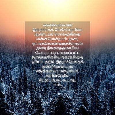 Picture 04 - எசேக்கியேல் 24:6 TAMIRV - இதற்காகக் - Bible Verse Picture