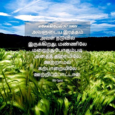 Picture 04 - எசேக்கியேல் 24:7 TAMIRV - அவளுடைய இரத்தம் - Bible Verse Picture