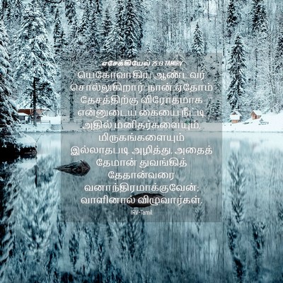 Picture 04 - எசேக்கியேல் 25:13 TAMIRV - யெகோவாகிய ஆண்டவர் - Bible Verse Picture