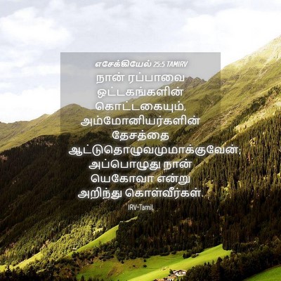 Picture 04 - எசேக்கியேல் 25:5 TAMIRV - நான் ரப்பாவை - Bible Verse Picture