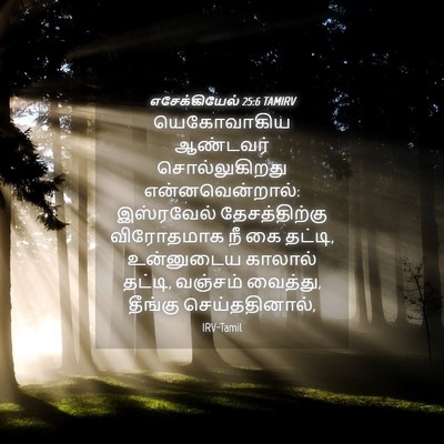 Picture 04 - எசேக்கியேல் 25:6 TAMIRV - யெகோவாகிய ஆண்டவர் - Bible Verse Picture