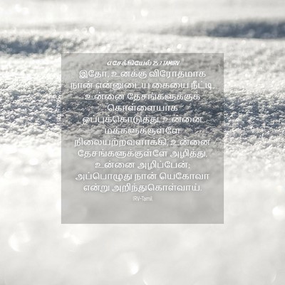 Picture 04 - எசேக்கியேல் 25:7 TAMIRV - இதோ, உனக்கு - Bible Verse Picture
