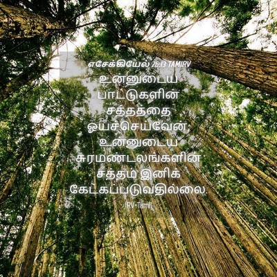 Picture 04 - எசேக்கியேல் 26:13 TAMIRV - உன்னுடைய - Bible Verse Picture