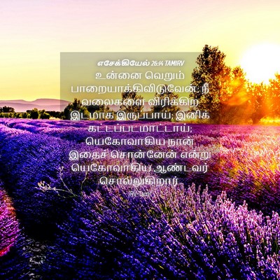Picture 04 - எசேக்கியேல் 26:14 TAMIRV - உன்னை வெறும் - Bible Verse Picture