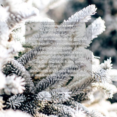 Picture 04 - எசேக்கியேல் 26:16 TAMIRV - கடலரசர் எல்லோரும் - Bible Verse Picture