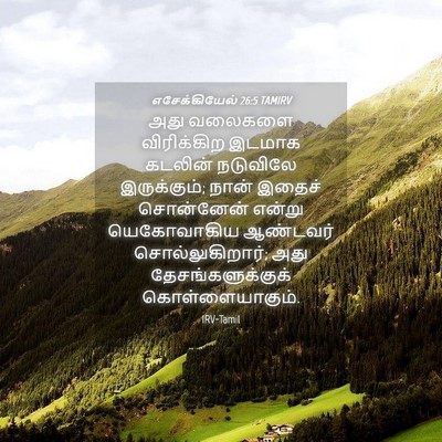 Picture 04 - எசேக்கியேல் 26:5 TAMIRV - அது வலைகளை - Bible Verse Picture