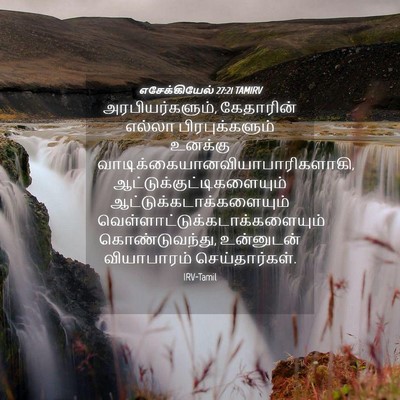 Picture 04 - எசேக்கியேல் 27:21 TAMIRV - அரபியர்களும், - Bible Verse Picture