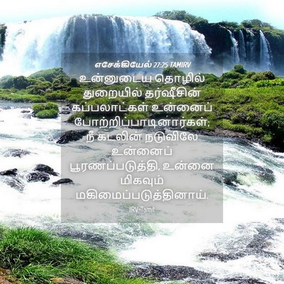 Picture 04 - எசேக்கியேல் 27:25 TAMIRV - உன்னுடைய தொழில் - Bible Verse Picture