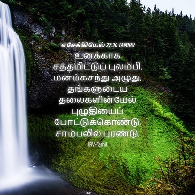 Picture 04 - எசேக்கியேல் 27:30 TAMIRV - உனக்காக - Bible Verse Picture