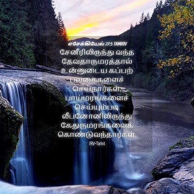 Picture 04 - எசேக்கியேல் 27:5 TAMIRV - சேனீரிலிருந்து - Bible Verse Picture