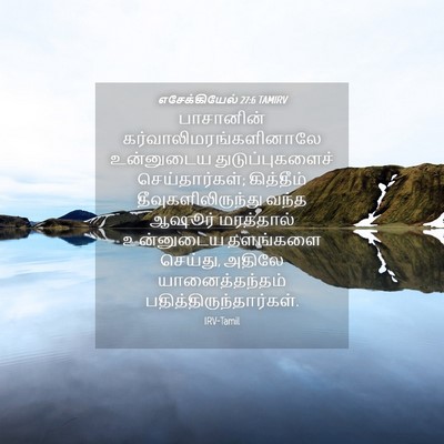 Picture 04 - எசேக்கியேல் 27:6 TAMIRV - பாசானின் - Bible Verse Picture