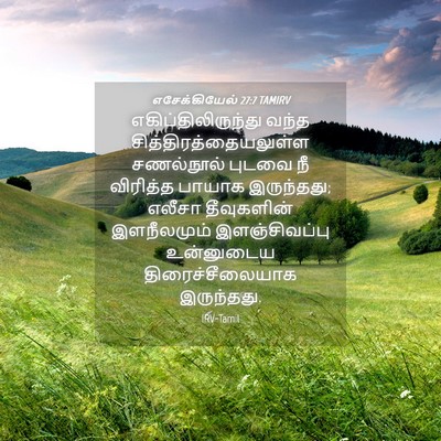 Picture 04 - எசேக்கியேல் 27:7 TAMIRV - எகிப்திலிருந்து - Bible Verse Picture