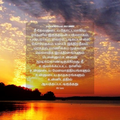 Picture 04 - எசேக்கியேல் 28:13 TAMIRV - நீ தேவனுடைய - Bible Verse Picture
