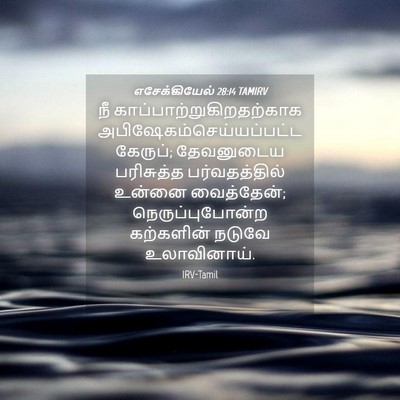 Picture 04 - எசேக்கியேல் 28:14 TAMIRV - நீ - Bible Verse Picture
