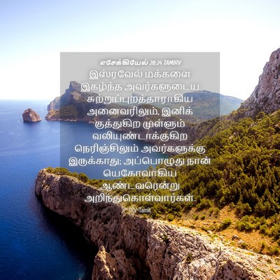 Picture 04 - எசேக்கியேல் 28:24 TAMIRV - இஸ்ரவேல் மக்களை - Bible Verse Picture