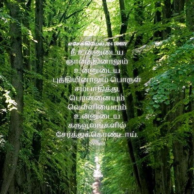Picture 04 - எசேக்கியேல் 28:4 TAMIRV - நீ உன்னுடைய - Bible Verse Picture