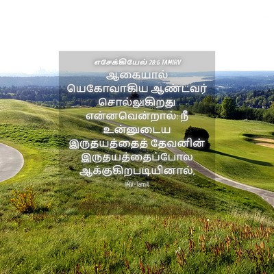 Picture 04 - எசேக்கியேல் 28:6 TAMIRV - ஆகையால் யெகோவாகிய - Bible Verse Picture