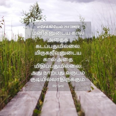 Picture 04 - எசேக்கியேல் 29:11 TAMIRV - மனிதனுடைய கால் - Bible Verse Picture