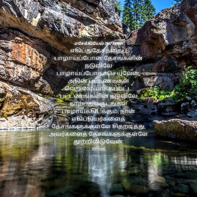 Picture 04 - எசேக்கியேல் 29:12 TAMIRV - எகிப்துதேசத்தைப் - Bible Verse Picture